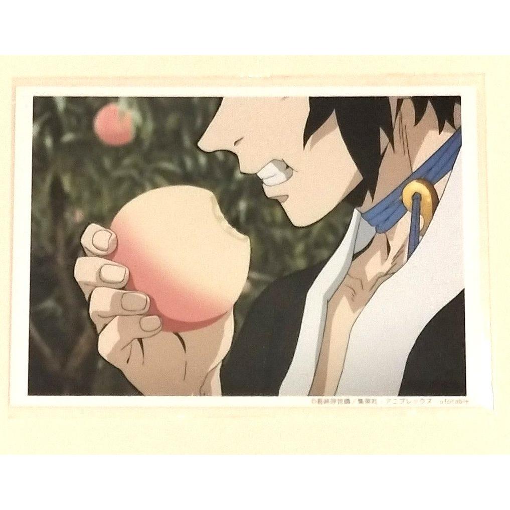 Used Demon Slayer: Kimetsu no Yaiba Training Period Katake Bromide Nada Kumoyama Edition