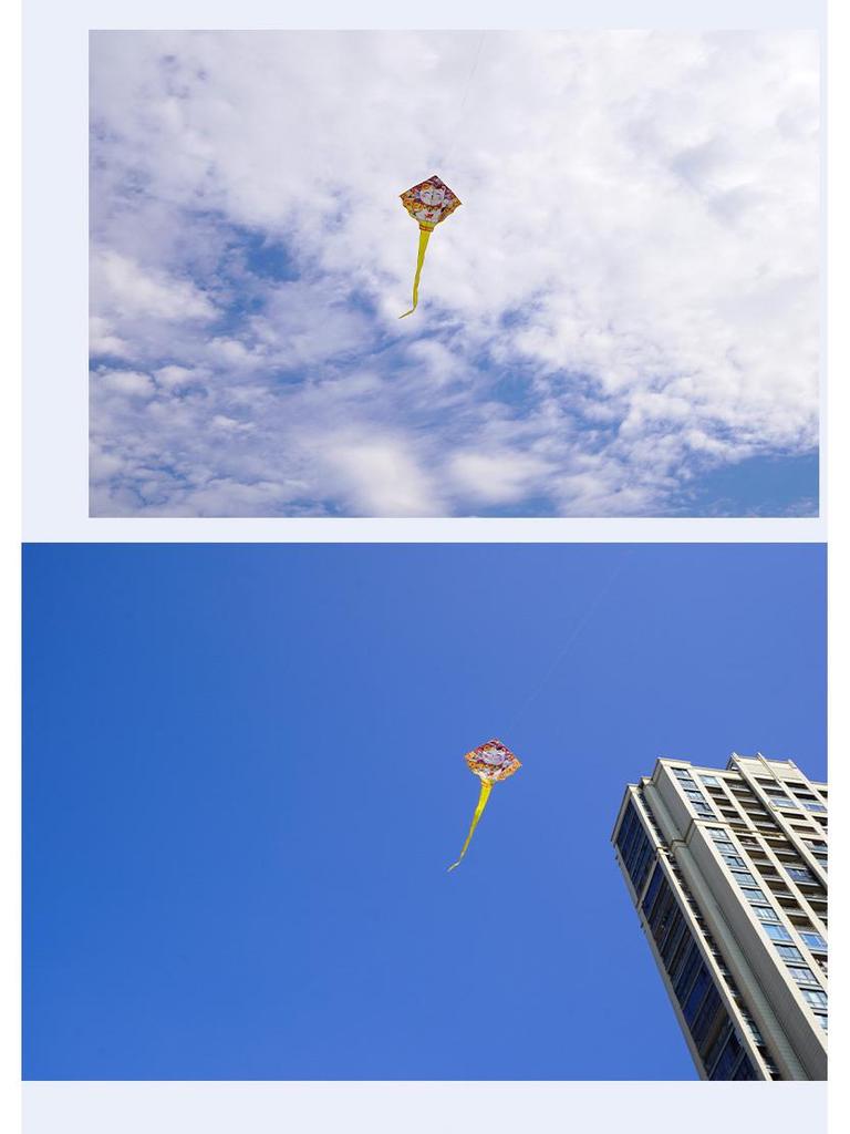 2026 Adults Only Gentle Breeze 1.6m Lucky Cat Kite - Easy to Fly Outdoor Fun for All Ages