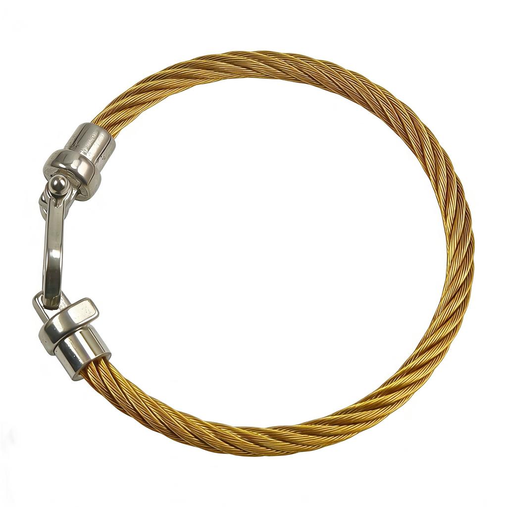 2026 Fashion Trend European and American Horseshoe Magnet Buckle Steel Wire Bracelet Jewelry