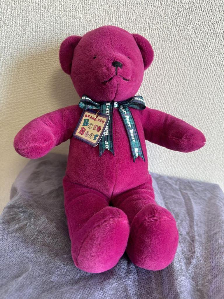 [USED] North American Bear Teddy Bear Plush Toy