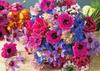 500-300 Beautiful Anemone 500-Piece Jigsaw Puzzle (53 X 38 Cm) Made In Japan by APPLEONE