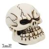 Funky Shift Knob Skull Bone Color