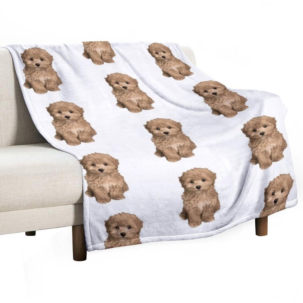 Cute Adorable Maltipoo Throw Blanket Soft Plaid Stuffeds Plaid Christmas Gifts Blankets