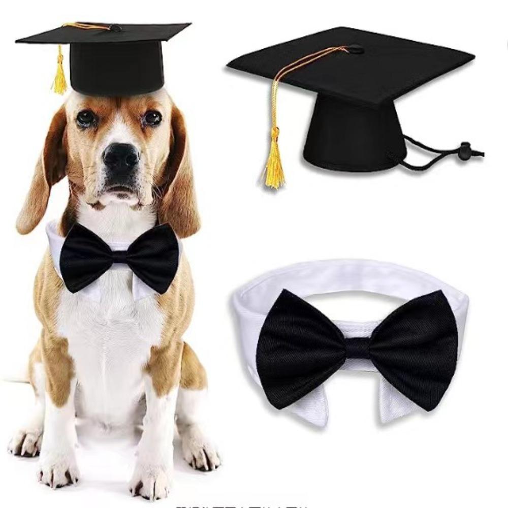 

2Pcs/Set with Bow Tie Cats Necktie Mortarboard Hat Graduation Party Supplies Graduation Season 2