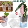 Ghivece de flori și coșuri – Containere pentru răsad