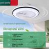 Modern Smart Ceiling Fan Light with App Control