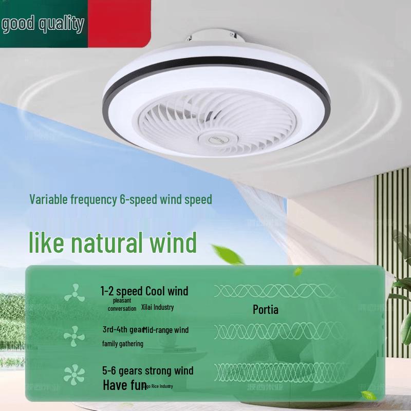 Modern Smart Ceiling Fan Light with App Control