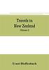 Cartea Travels In New Zealand by Ernst Dieffenbach - Paperback