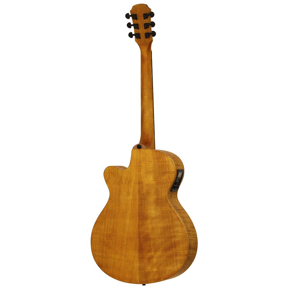 ARIA Stained Brown Electric Acoustic Guitar Aria FET-F2
