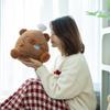 Capybara Bread Bear Plush Toy Cute Cartoon Girl Children Birthday Gift Holiday
