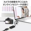 ELECOM HDMI Capture Unit [HDMI to USB-A / USB-C] 4K (3840 x 2160)/30Hz HDMI Non-certified HDMI Conversion Cable Black AD-HDMICAPBK