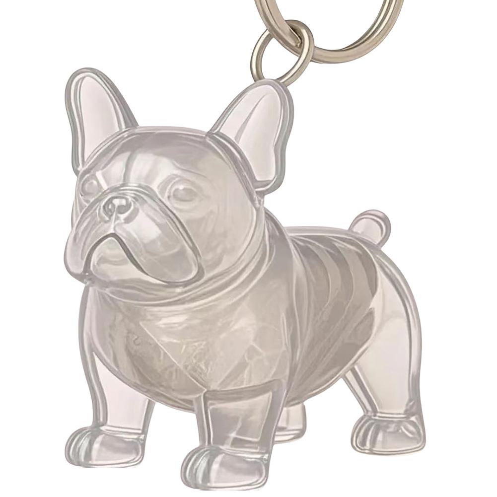 Dog Hair Storage Box Puppy Hair Memorial Keepsake Capsule Pet's Dog Fur Container Transparent Capsule Keychain Souvenirs