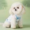 25 Years Old New Spring and Summer Small Floral Breathable Two-legged Vest Teddy Than Bear Cat Pet Clothing Dog Clothes