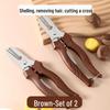 Chestnut Peeler & Shell Opener Stainless Steel Tool