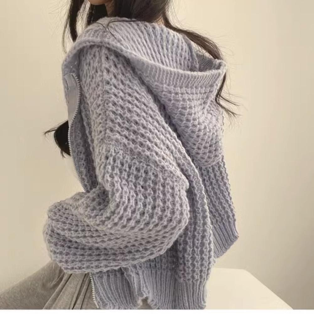 Hooded Short Sweater Jacket, Autumn and Winter New Collection, Lazy Style, Women's Design Sense, Thick Needle Lapel, Loose Knit Sweater