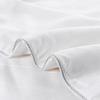 Hengyuanxiang Mulberry Silk All-Season Quilt