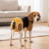 Adjustable Dog Sanitary Panties Washable Pet Physiological Pants Female Dog Period