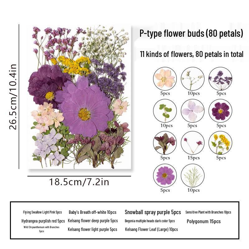 DIY Dried Flower Specimen Sticker Set for Kids: Handmade Pressed Flower Frames & Resin Bookmark Craft Kit