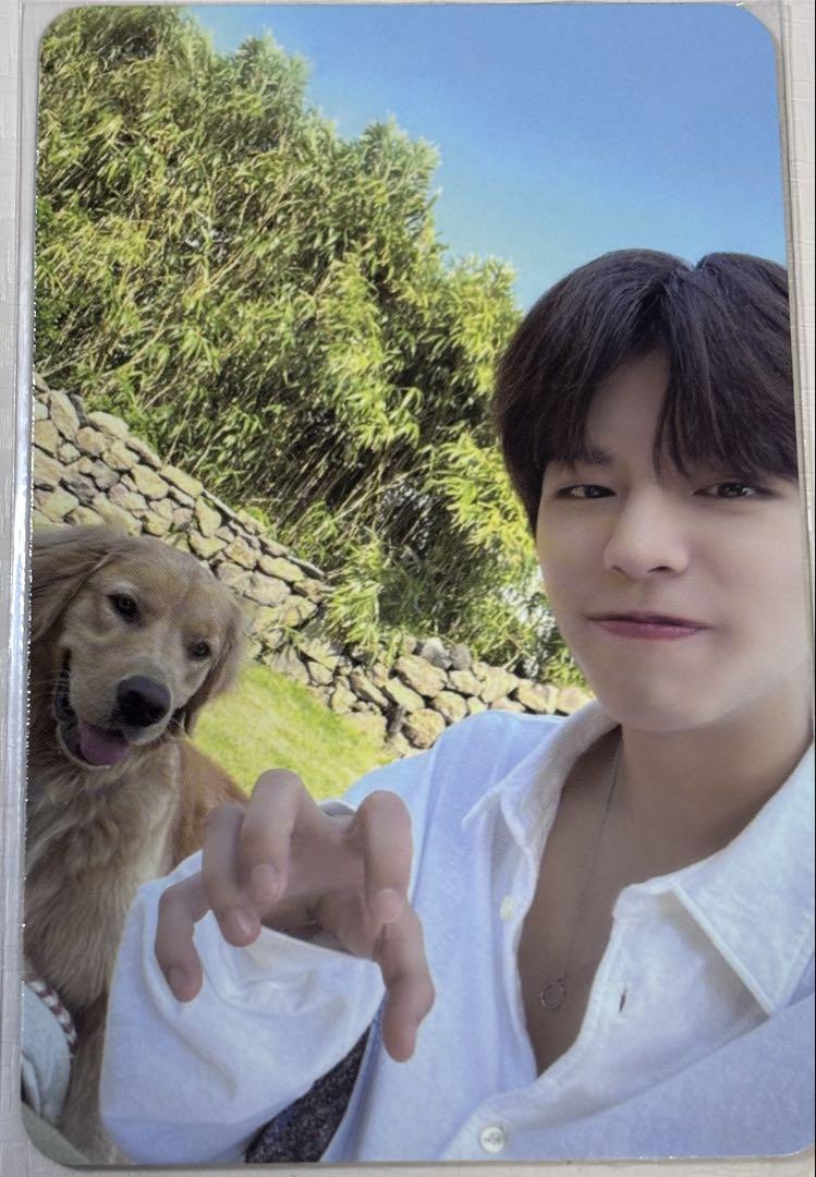 

[USED] straykids skiz jyp bonus seungmin trading card jeju island