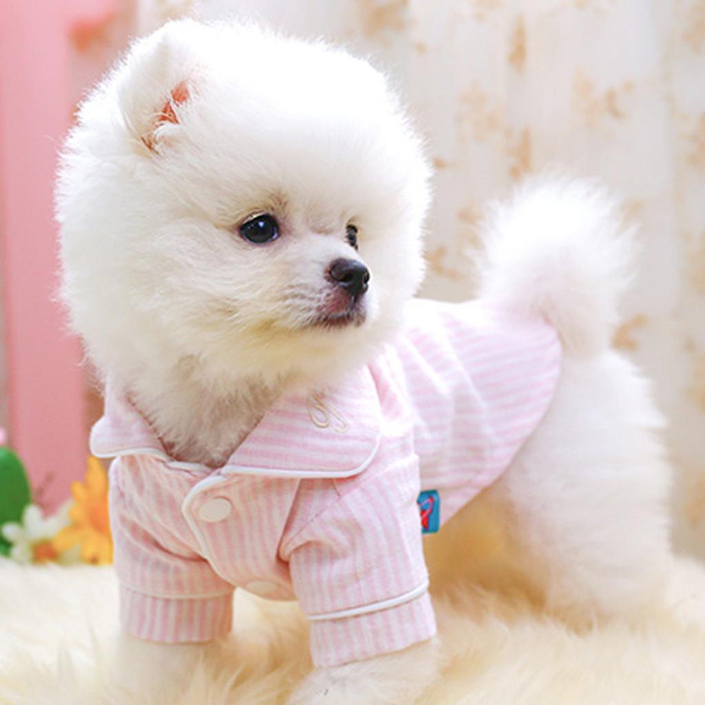 Gestreifter Haustierpyjama Jumpsuit aus weicher Baumwolle für Hunde und Katzen Gestreifter Haustierpyjama Jumpsuit aus weicher Baumwolle für Hunde und Katzen