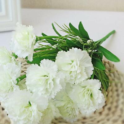 1 Bouquet Künstliche Nelke Exquisite Nicht-verblassen 10 Köpfe Mutter Tag Geschenk Simulation Blume für Hause