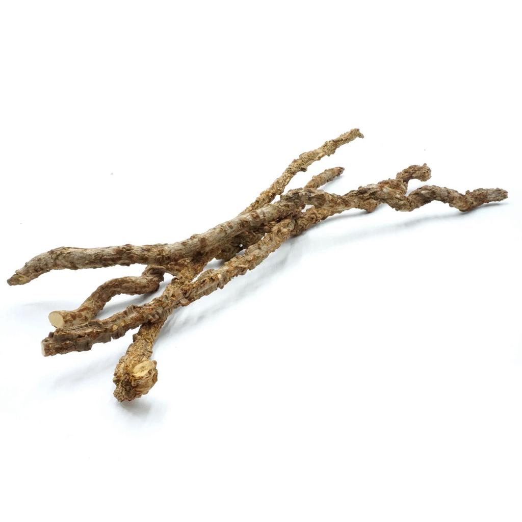 BioCork Cork Liana 50cm