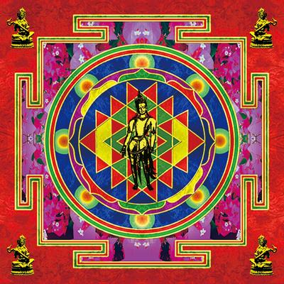 CD TARIKI ECHO - Buddha Sound  SRCV1034 Japan ObiMusic Andere Gebraucht