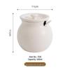 Zhishi Ceramic Kitchen Condiment Jar with Spoon