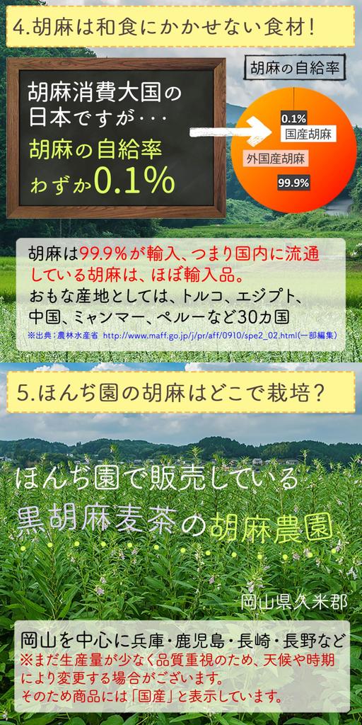 Honjien-Tee, heimischer schwarzer Sesam-Gerstentee, Teebeutel, gesunder Tee, 10 g x 20 Stück x 10 Beutel, Set 2000 g