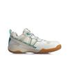 Li Ning Invincible No. ACE Cushioning Slip Resistant Abrasion Resistant Rebound Low Top Badminton Shoes Men's AYAQ015-2