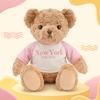 Fashionable Letter Sweatshirt Teddy Bear Cute Plush Toy Doll Gift For Children