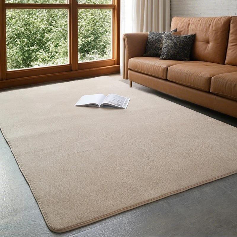 Ultra Zacht Verdikt Grijs Flanellen Tapijt Antislip Wasbaar Vloerkleed voor Woonkamer Slaapkamer Kantoor Vloer Huisdecoratie 80x120cm 31x47inch