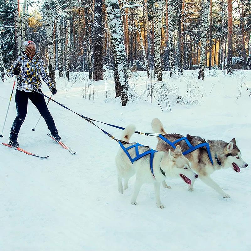 Dog Outdoor Sled Harness Medium Large Dog Weight Training Traction Strap Husky Samoyed Alaska Ski Leash Snowboard Chest Strap