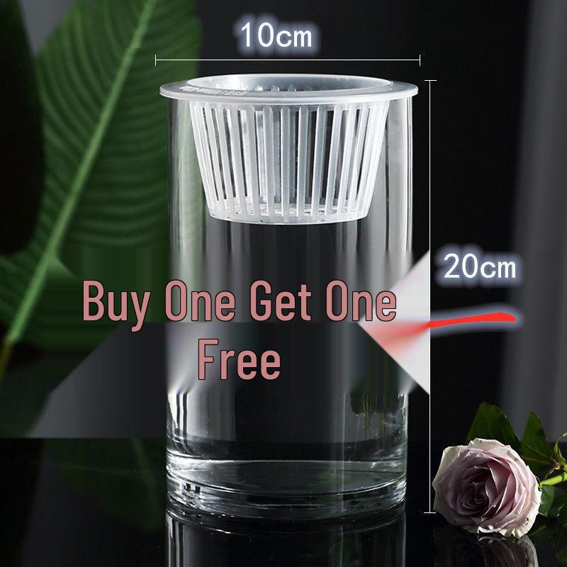 Hydroponic Glass Cylinder Vase for Pothos & Peace Lily - Transparent Water Culture Container with Free Shipping.