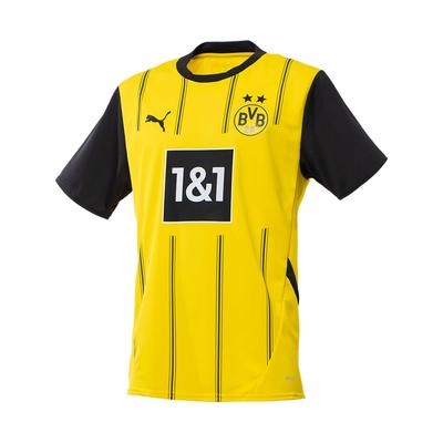 Borussia Dortmund 2024-2025 Season SS24 Quick-Dry Slim-Fit Short-Sleeve Soccer Jersey Men Tops Yellow 774946-01