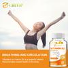 Vitamin B2 Capsules, 400mg High-Dose, Immune Support, Suitable for Men and Women