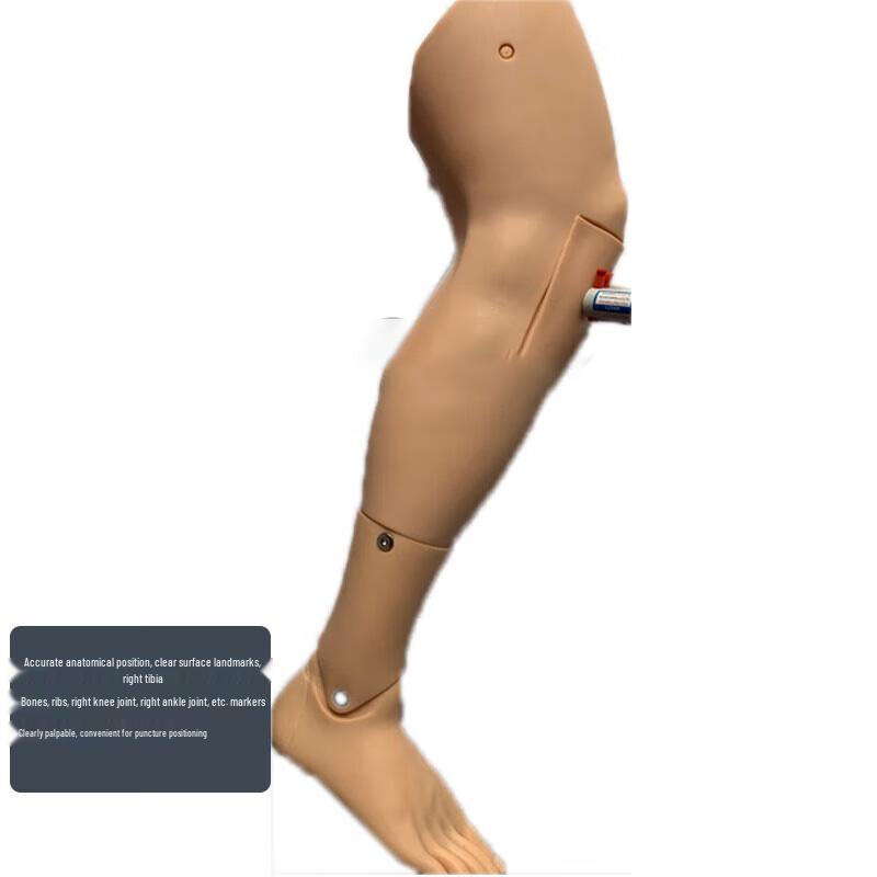 Tibial Puncture & Intraosseous Infusion Training Model