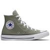 Chuck Taylor All Star Seasonal Color High Top 159562C