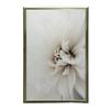 Delicate White Dahlia Delicate White Dahlia, 30X40 Cm, Dark Brown Wooden Frame, 230 Gsm Matte Paper