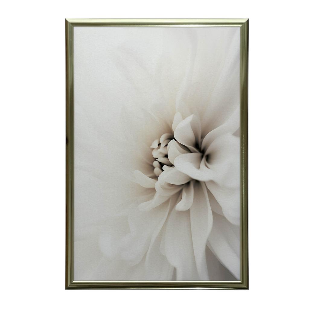 Delicate White Dahlia Delicate White Dahlia, 30X40 Cm, Dark Brown Wooden Frame, 230 Gsm Matte Paper