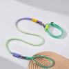 New Gradient Color Nylon Pet Leash Explosion-Proof Rope Ribbon Adjustable Training Leash for Dog Cat Walking