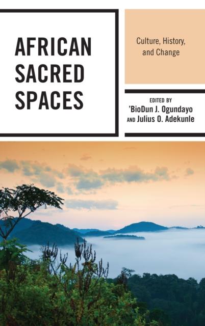 The African Sacred Spaces : Culture, History, and Change Book