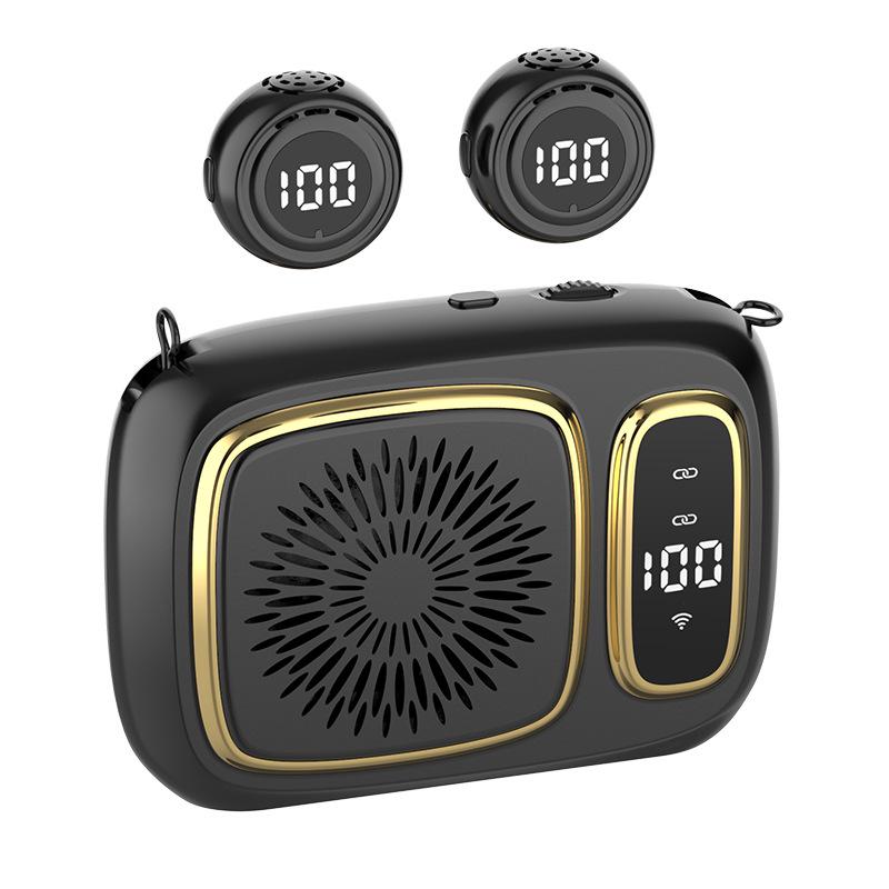 

R16 Cross-Border Wireless Voice Amplifier