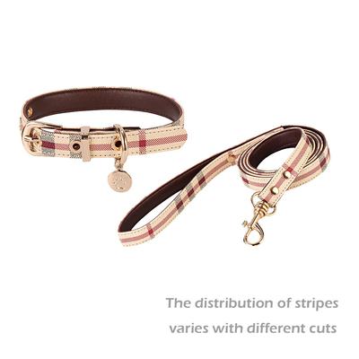 Set Collare e Guinzaglio per Animali in Pelle Moda Collari Regolabili per Cani Articoli per Animali Collari per Cani di Taglia Media e Grande Regalo per Cane