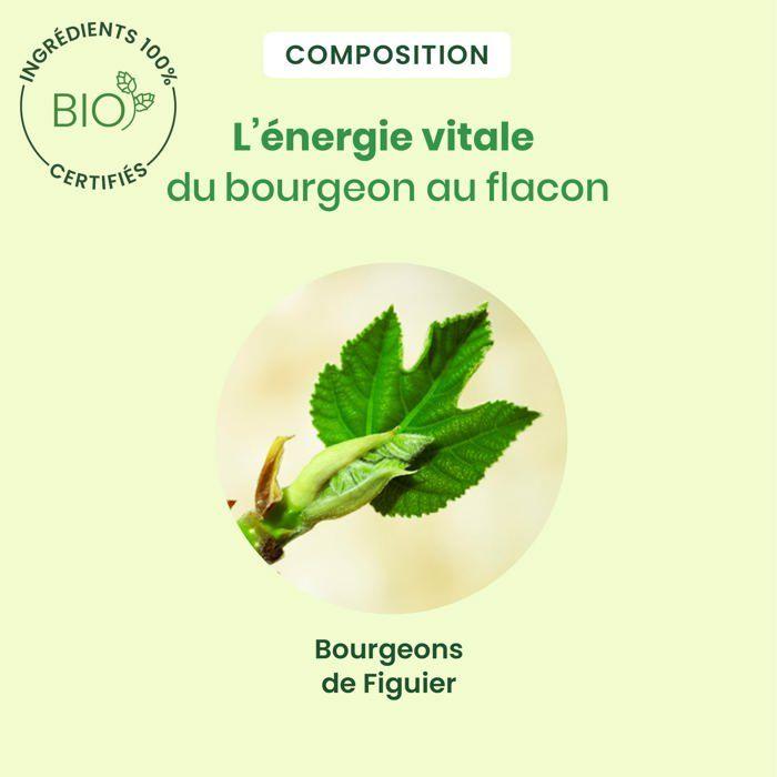 Herbalgem Figuier spray Bio 15ml