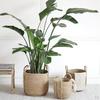 Basket Flower Plants Straw Pots Decor