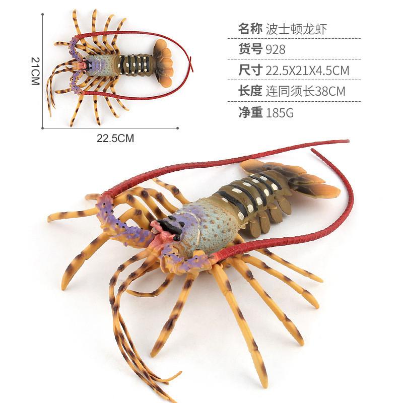 

Authentic Looking Pvc Lobster Model In Multiple Color Options For Realistic Displays StyleD