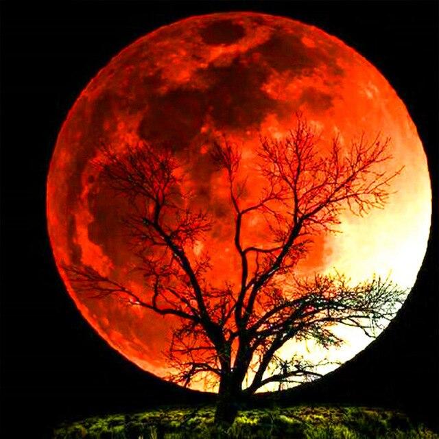 50X50CM 5D Diamond Painting Landscape DIY Full Diamond Moon Tree Embroidery Kit Mosaic Home Decoration