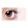Cozy Honpo 3DEYES Eyelash U-1 Airy Accent False Eyelashes 3 Pairs (x 1)