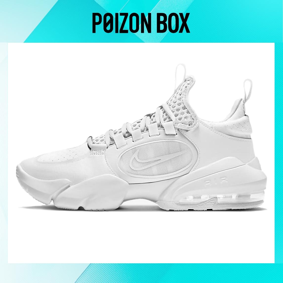 

кроссовки Nike Air Max Alpha Training shoes Men CK9408-100